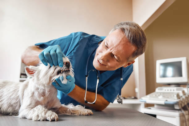 Best Emergency Treatment for Oral Infections in Mabton, WA